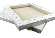 Load image into Gallery viewer, Artist Canvases For Paitning 2-Pack 8X10 Framed Pre-Stretched Cotton Duck Double Acrylic Gesso