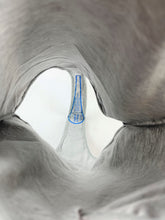 Load image into Gallery viewer, Women's Bodysuit Cotton Spandex Halter Thong by American Apparel Heather Gray