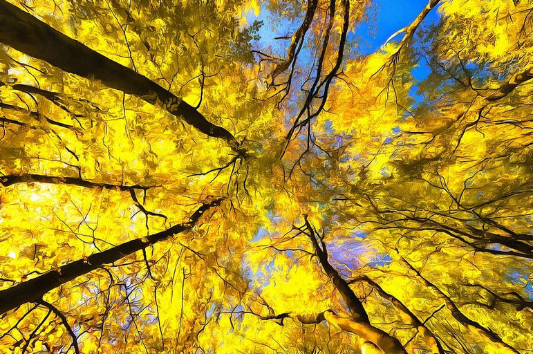 Lot of Sixty - 14 Color Acrylic Paint 12ml Tubes Artist Rainbow Paint Pigments