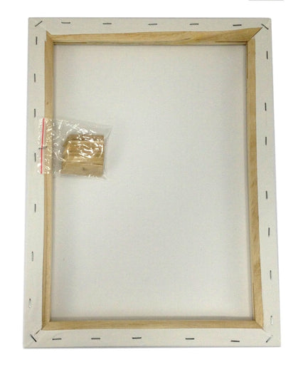 Lot of 2 ARTIST CANVAS 9x16