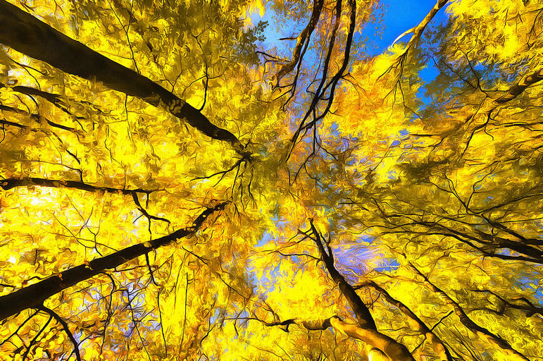 Set of 5 Yellow Acrylic Paint Tubes 120mls Professional Artist Paint Set, Lemon