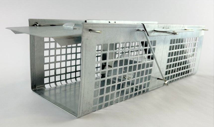 Small Animal Trap Mini Rodent Trap Chipmunks Squirrels Rats Voles Pest Control
