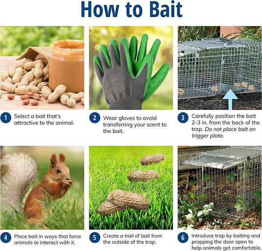Small Animal Trap Mini Rodent Trap Chipmunks Squirrels Rats Voles Pest Control