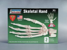Load image into Gallery viewer, Lindberg Skeletal Hand Science Kit w/Display Stand, Life-Size Articulated
