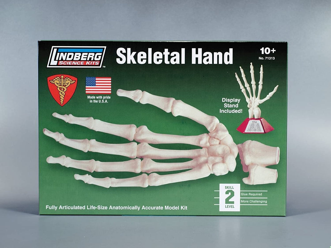 Lindberg Skeletal Hand Science Kit w/Display Stand, Life-Size Articulated