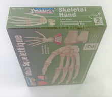 Load image into Gallery viewer, Lindberg Skeletal Hand Science Kit w/Display Stand, Life-Size Articulated
