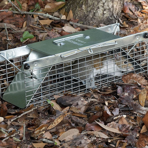 Small Animal Trap Mini Rodent Trap Chipmunks Squirrels Rats Voles Pest Control