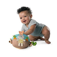 Load image into Gallery viewer, Bright Starts Giggle Garden Ball, Soft Plush 6&quot; Ball with Garden Animals
