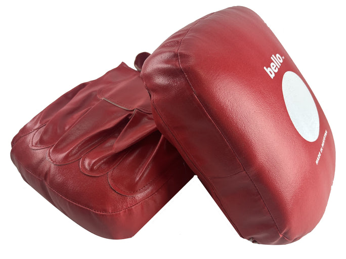 Coaching Mitts 10