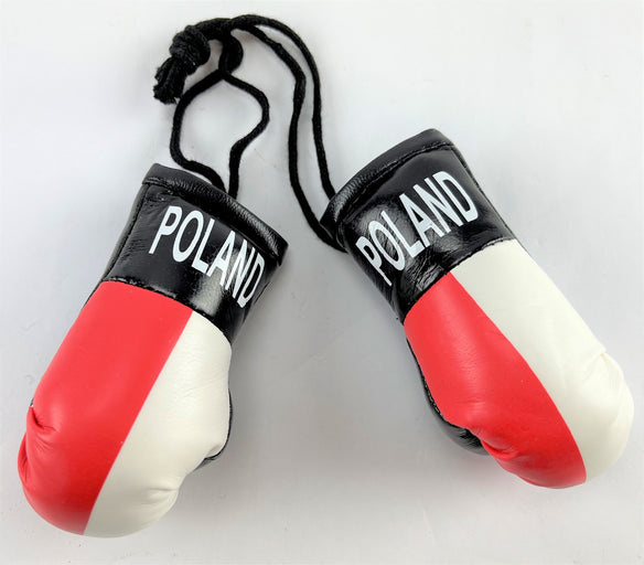 Mini Boxing Gloves POLAND Country Flag National Pride MMA Car Mirror Decor