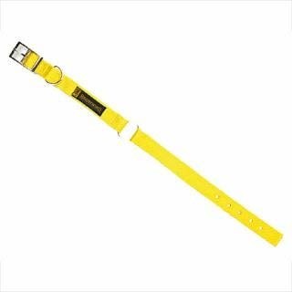 Field CollarYellow 17