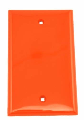Leviton 1-Gang No Device Blank Wallplate, Standard Size, Thermoplastic Nylon, Box Mount