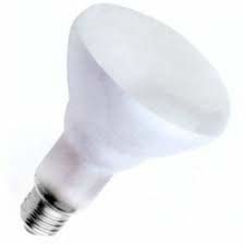 Sylvania Lighting BR30 65w 120-volt Indoor Flood Bulb